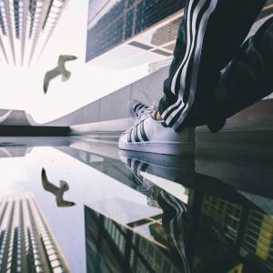 11951310_10153824834203888_7128755943328937015_n